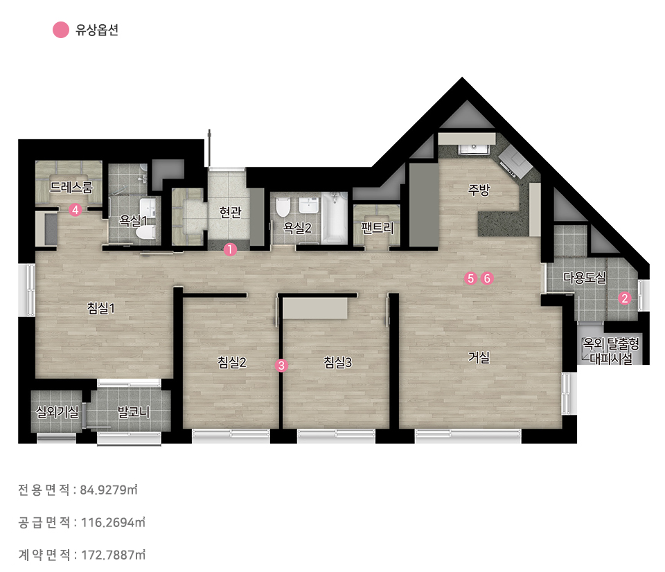 힐스테이트 대명 센트럴 2차 84㎡B 확장형 평면도